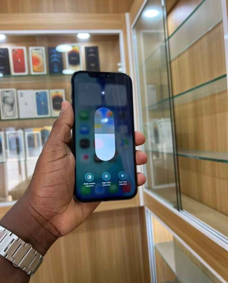 iPhone 12 Pro Max Gris 128GB