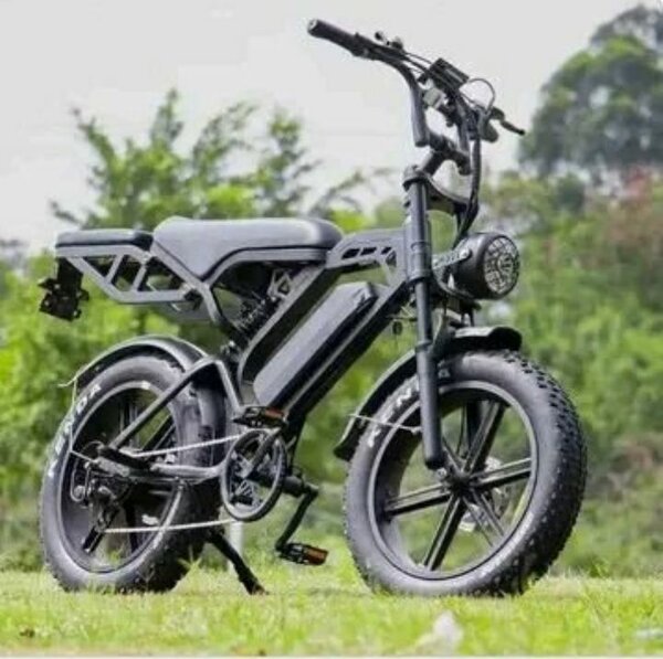 Électrique vélo puissant