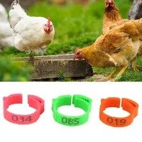100 Pcs Chicken Leg Bands Adjustable Chicken Poultry Rings Pigeon Geese Quail Bird Ring Carry Tools Feeding Number Tag - Red