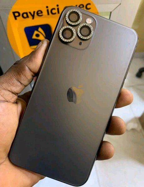 iPhone Pro Max 256 Go