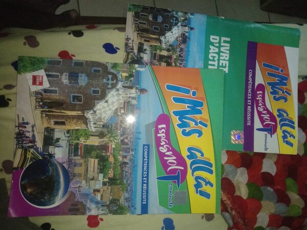 Lot de manuels scolaires Terminale