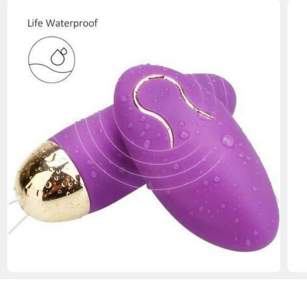 Vibromasseur Télécommande Étanche