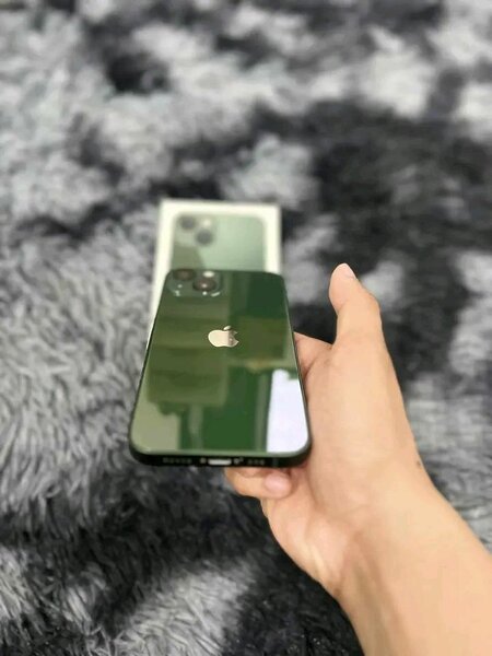 iPhone 13 Vert 128Go