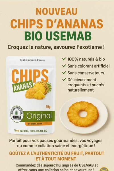 Chips d'Ananas Bio USEMAB