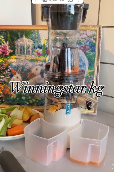 Соковыжималка