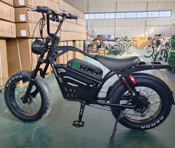 Vélo électrique tout-terrain