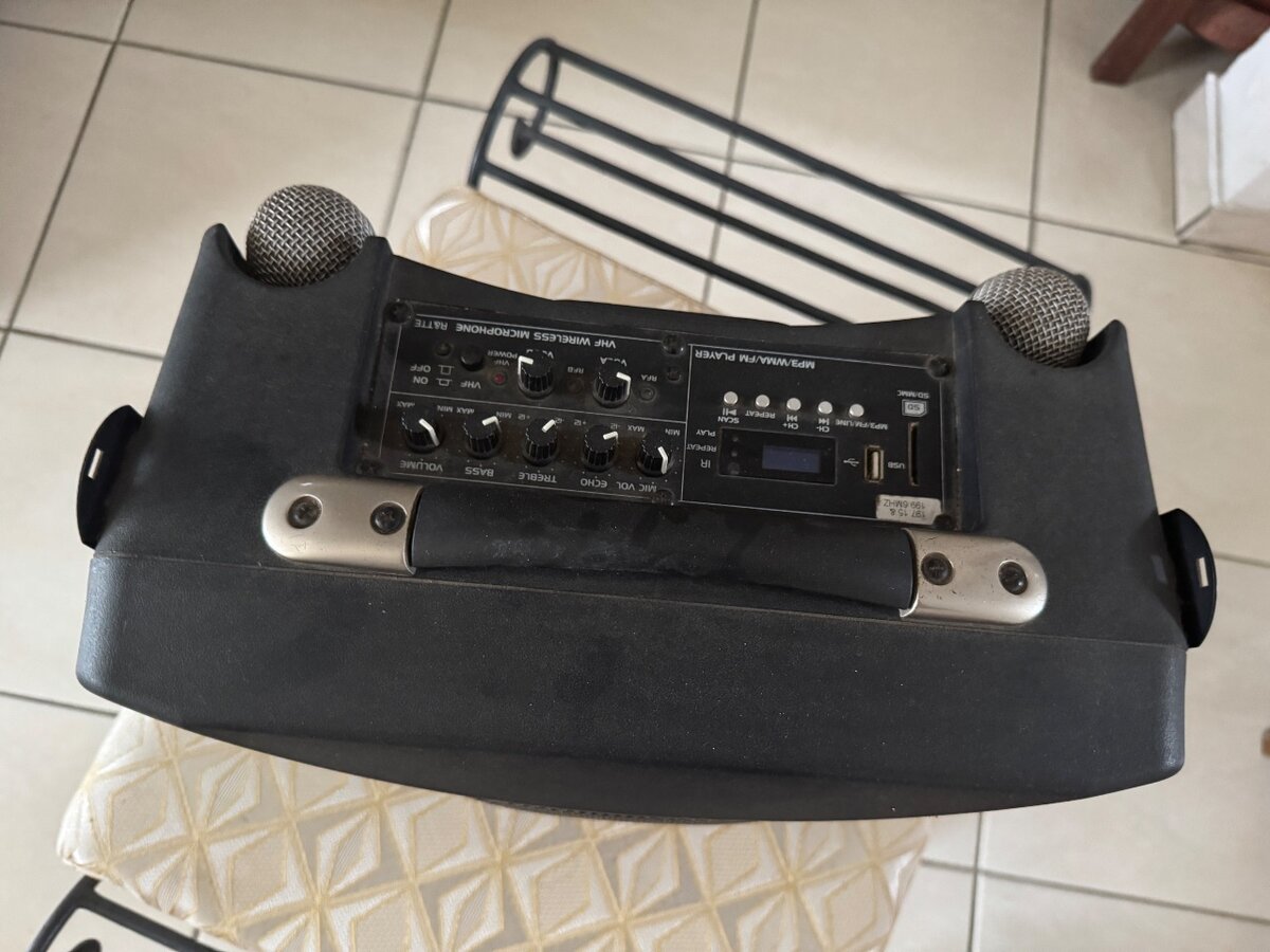 Portable Karaoke Speaker System