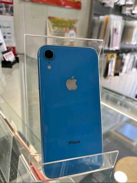 iPhone XR Bleu