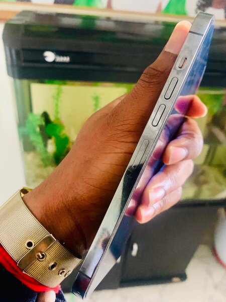 iPhone 13 Pro Max Gris