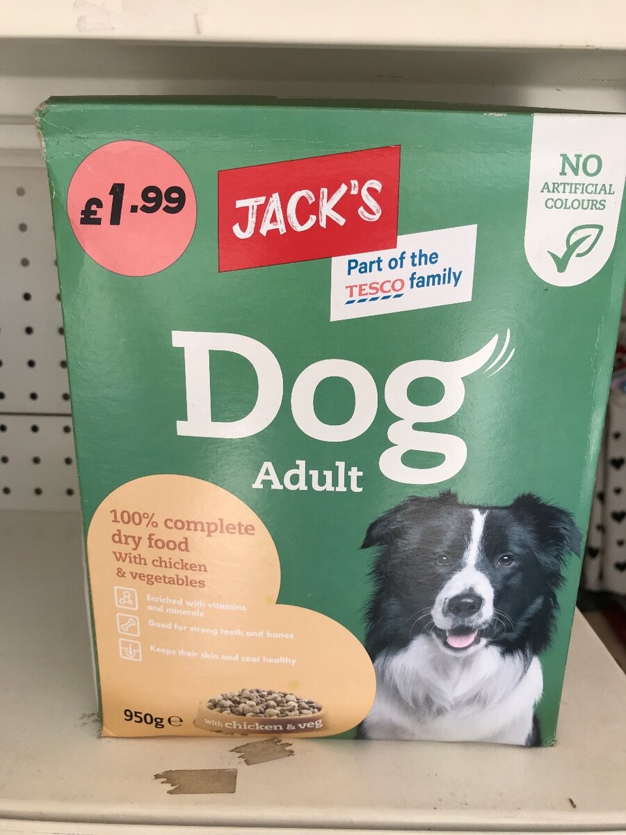 Jacks Dog adult