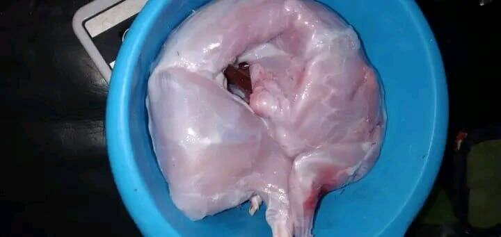 Viande de lapin fraîche