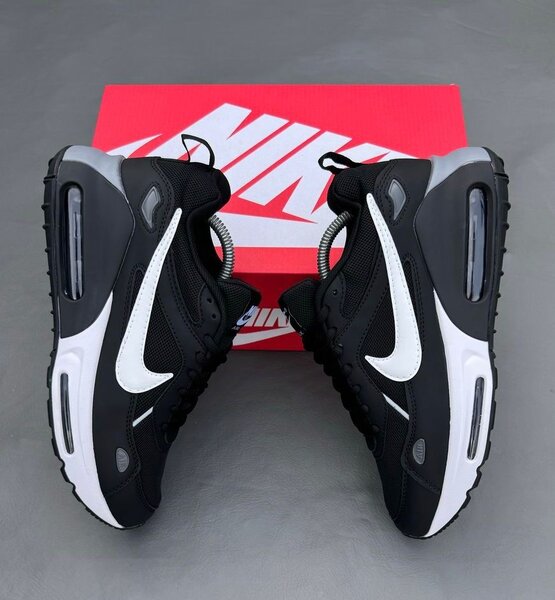 Nike Air Max Noire et Blanche