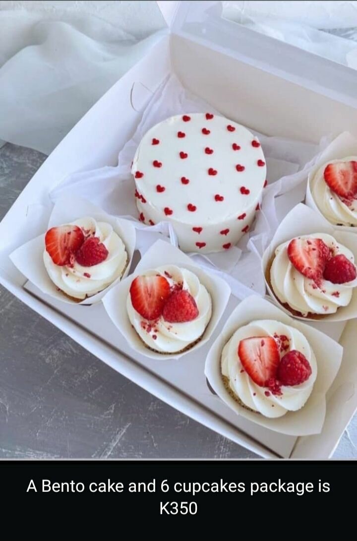 Bento cakes and cupcakes