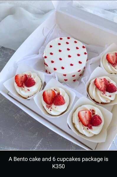 Bento cakes and cupcakes