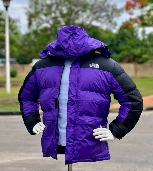 The north face