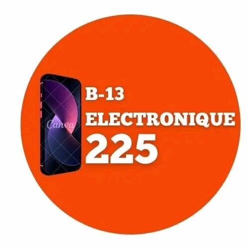 B13_Électronique 225