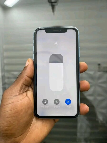 iPhone XR