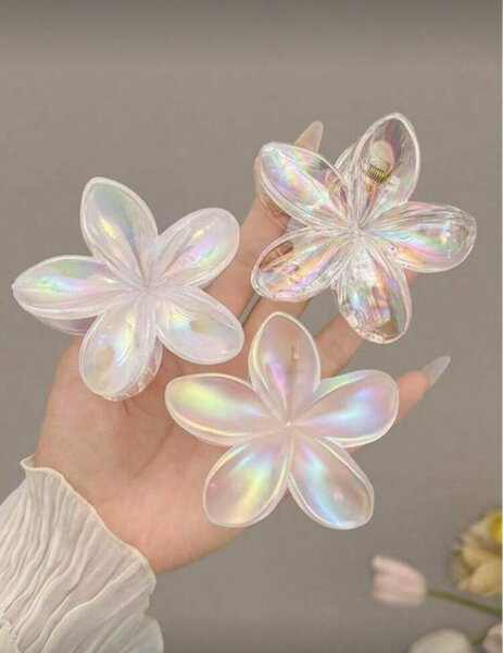 Grandes barrette à cheveux