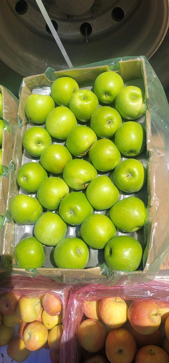 Granny smith(Green apple)