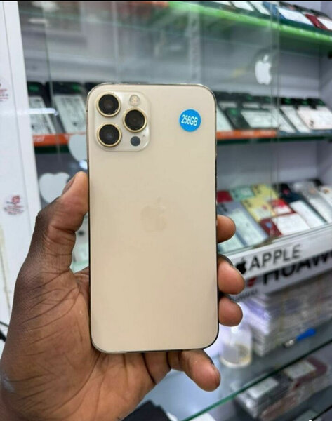 iPhone 12 Pro Max 256 Go