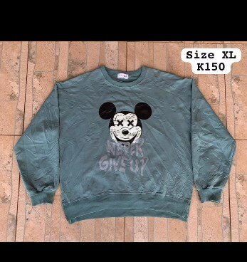 sweatshirt 