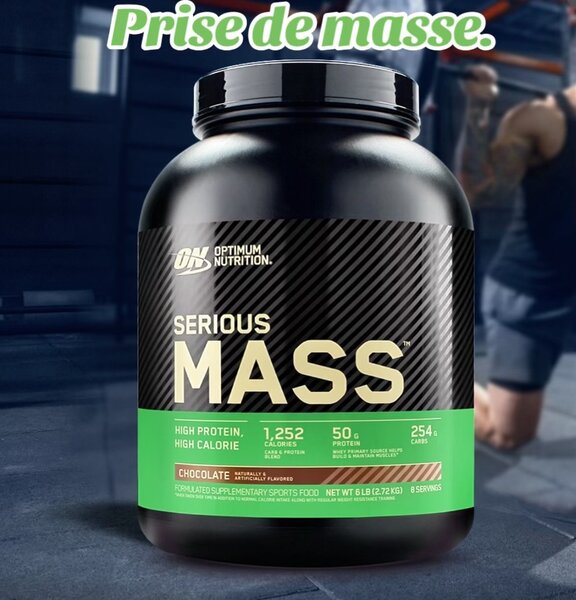 Gainer Optimum Nutrition Serious Mass