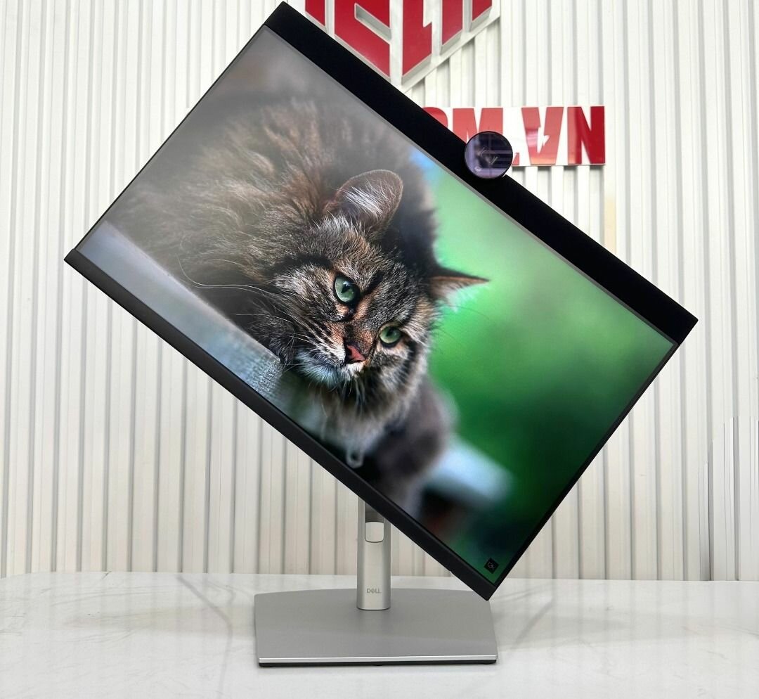 Écran Dell P2424heb