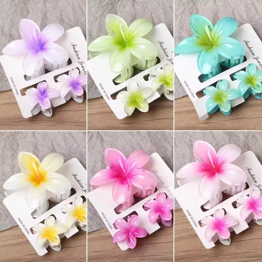 Pinces à cheveux fleurs colorées