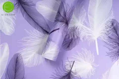 Papier peint motifs plumes élégant