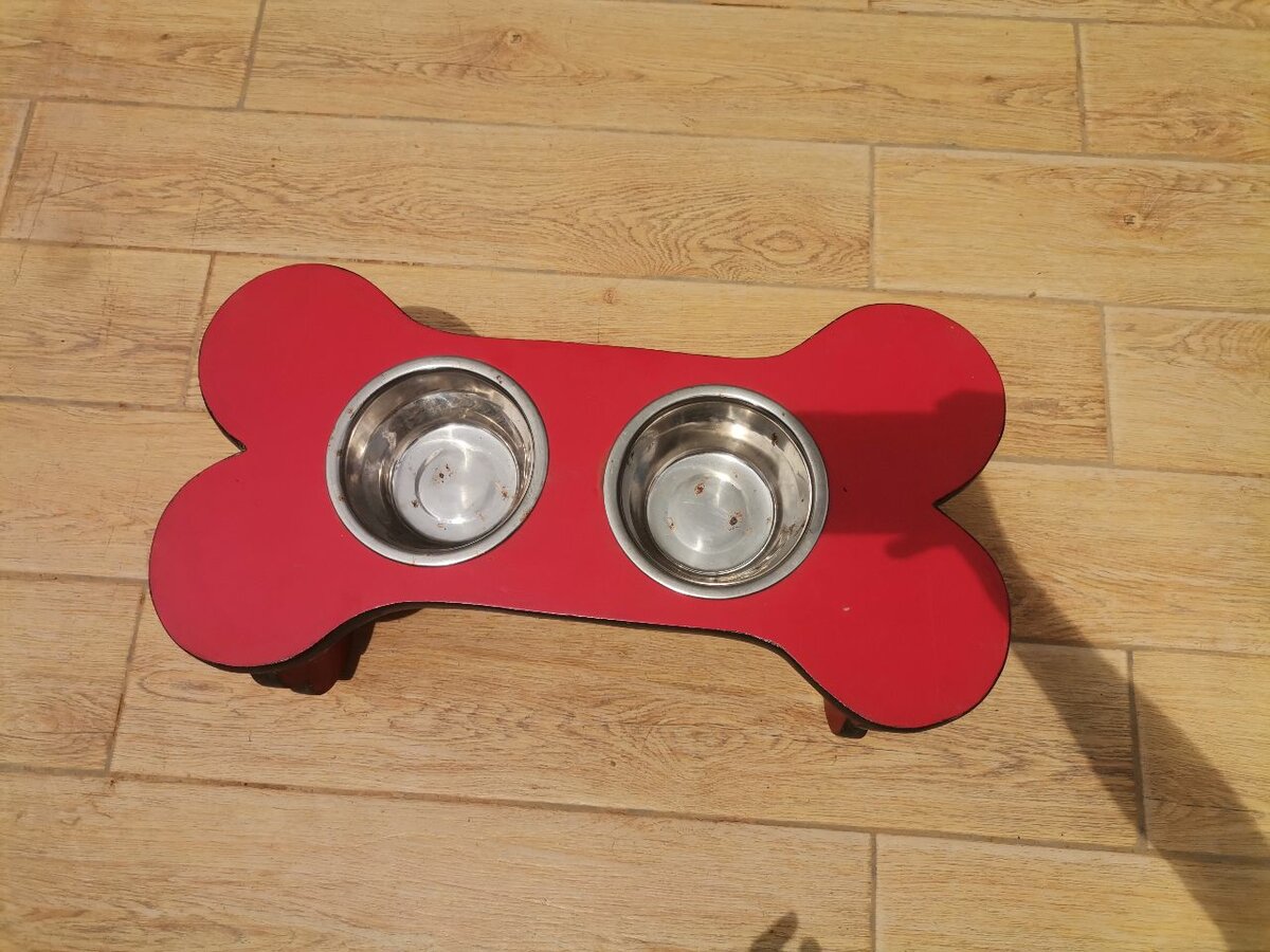 Double gamelle surélevée pour chiens