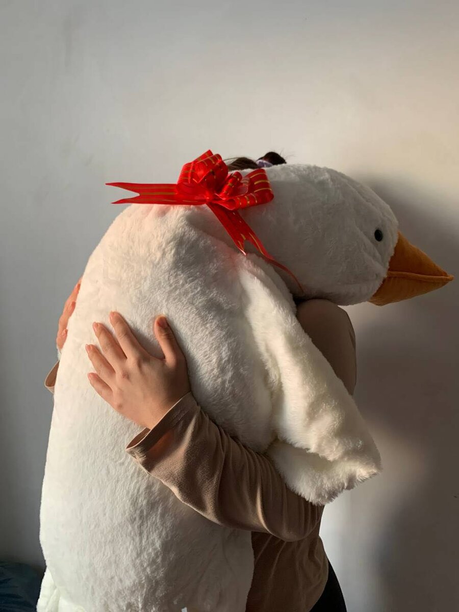 Плюшевый гусь обнимусь