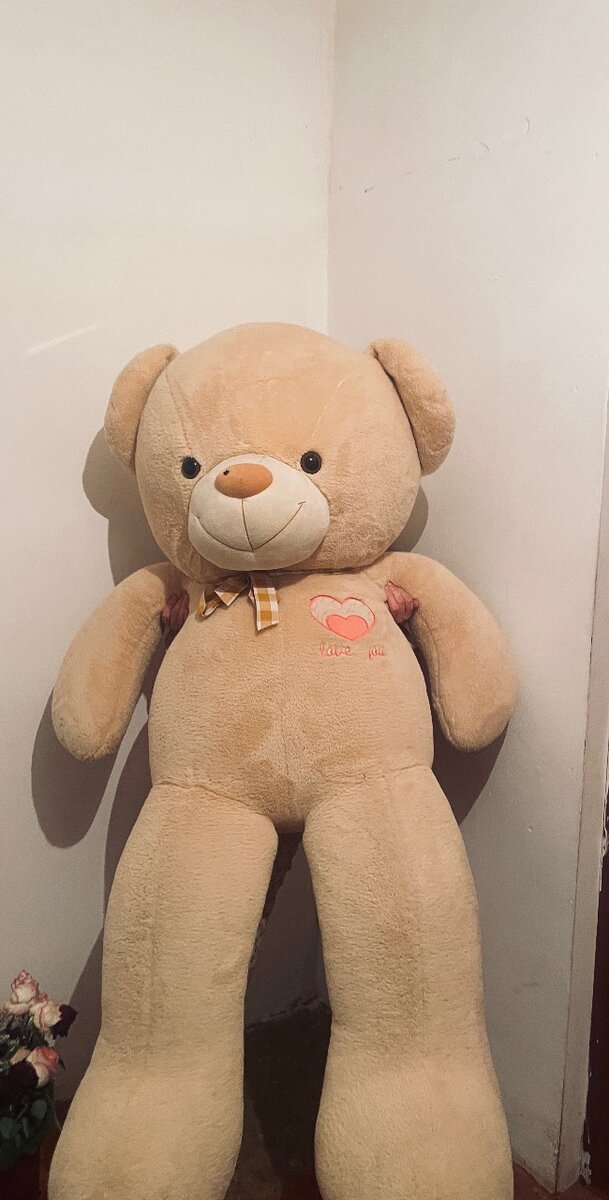 Плюшавая мишка