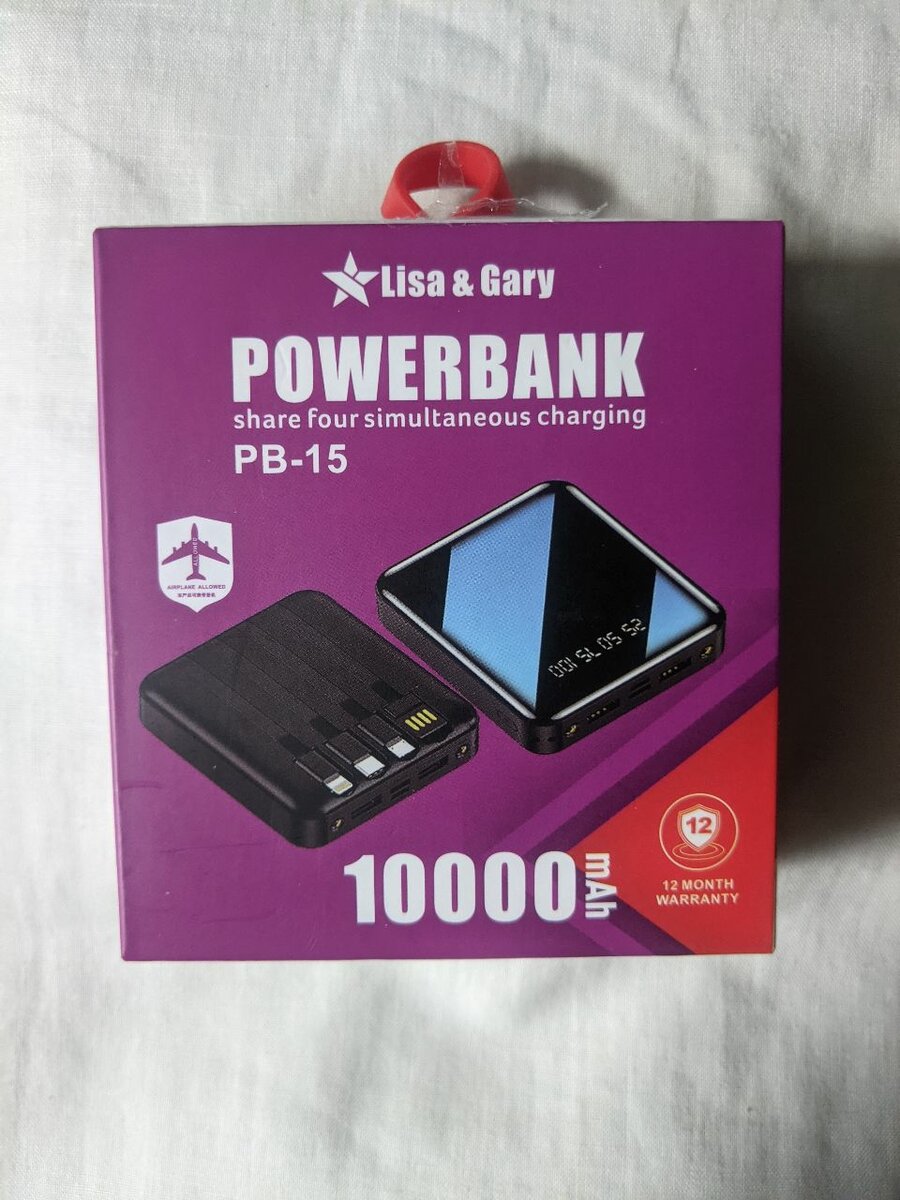 Lisa and Gary power bankLisa