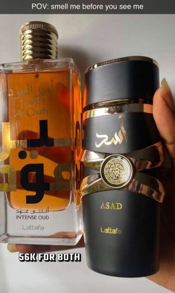 Asad &- Ameer by Lataffa