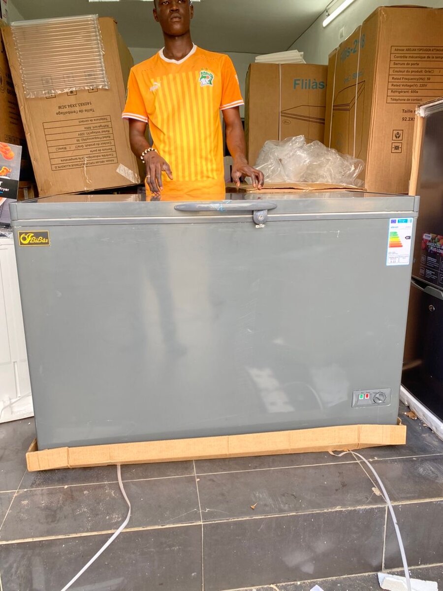 Congélateur horizontal 408L