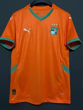 Maillot Équipe Côte d'Ivoire Puma