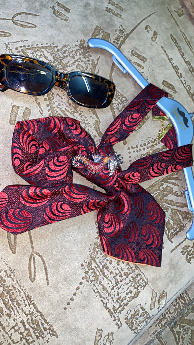 Cravates élégantes pour femmes