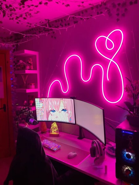 LED Néon Flex avec Télécommande