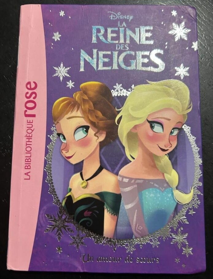 Livre La Reine des Neiges