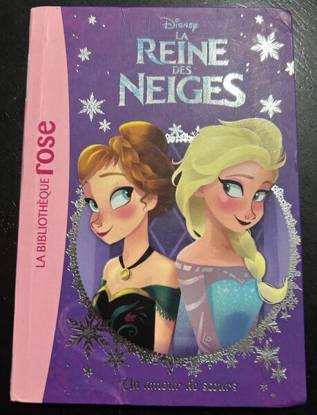 Livre La Reine des Neiges