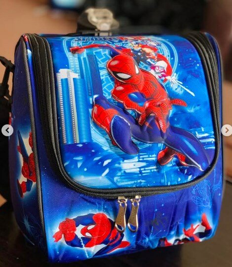 Spiderman Print Lunch Bag