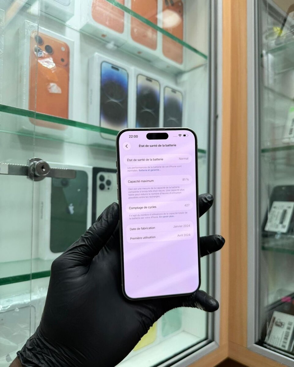 15 Pro Max 256Go origine