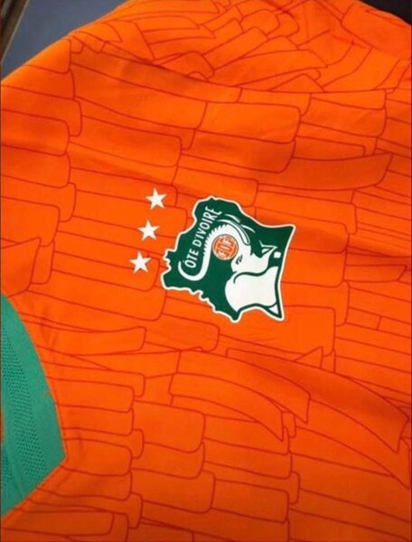 Maillot Côte d'Ivoire Puma