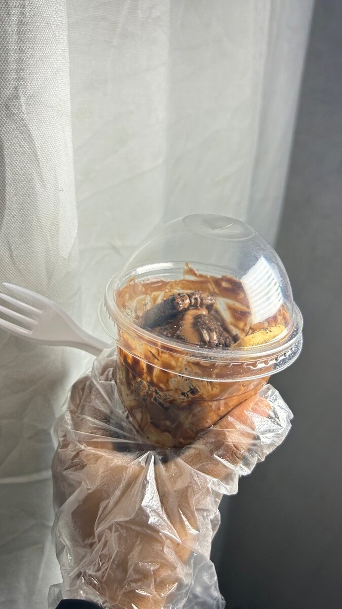 Fettucines de crepes