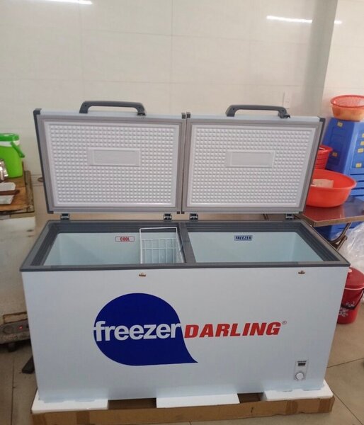 Congélateur coffre grande capacité