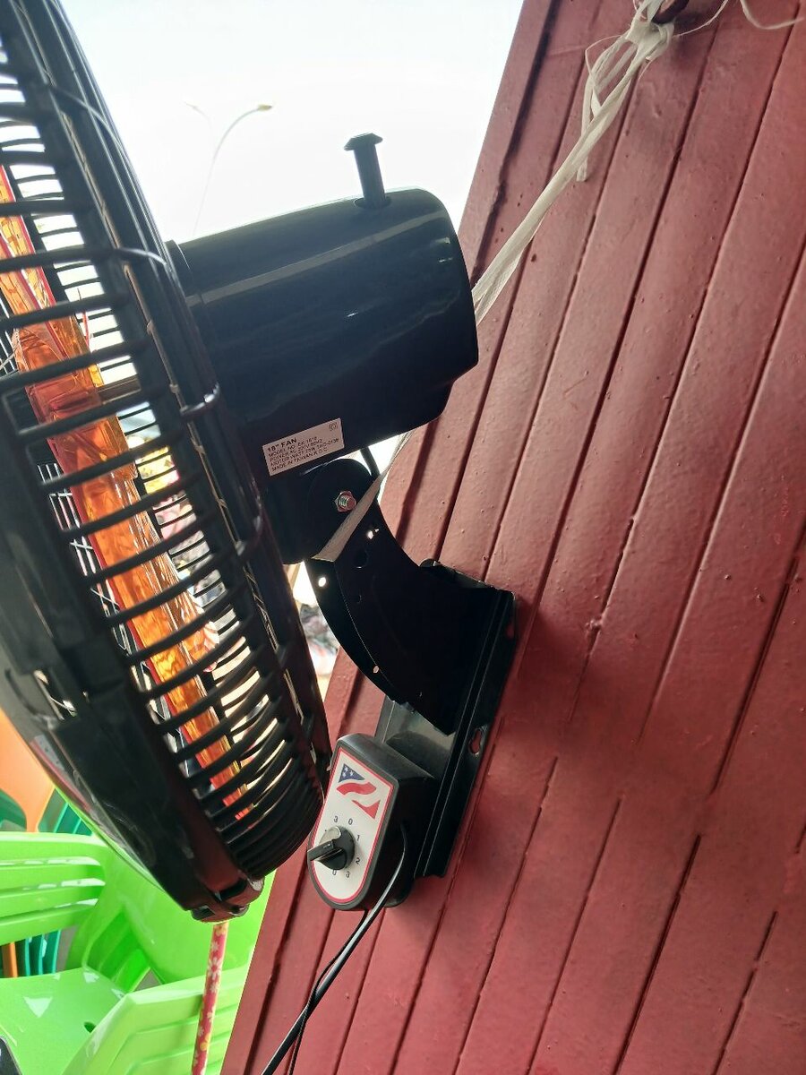 Ventilateur mural électrique