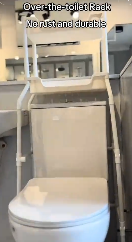 Bathroom and toilet rack