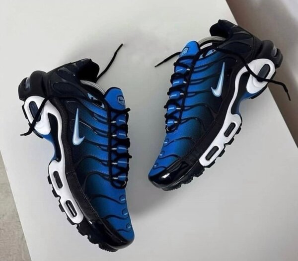 Chaussures Nike TN Air Max Plus