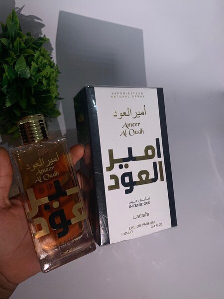 Ameer Al Oudh Intense