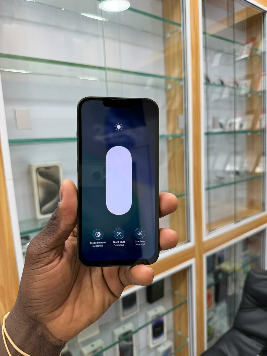 iPhone 13 Vert 256 Go